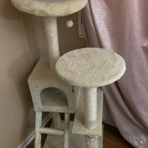 Cat Activity Tree Play